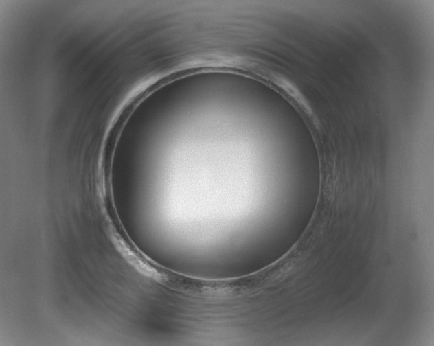 X0000080781080200612151423