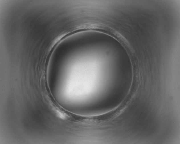X0000080781081200612151423