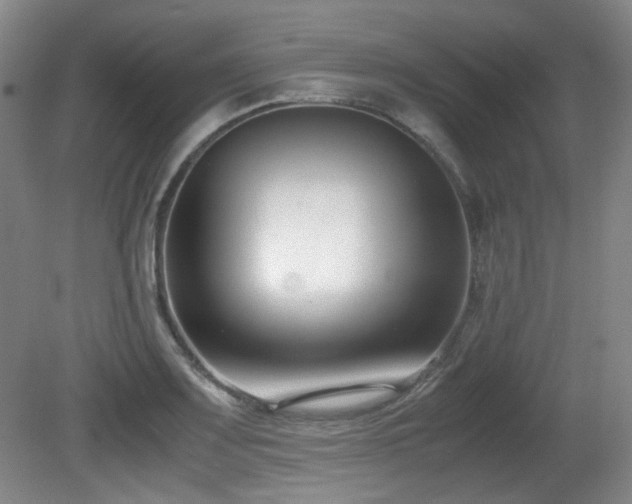 X0000080781083200612151423
