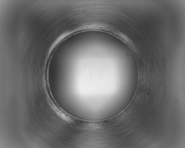 X0000080781086200612151423