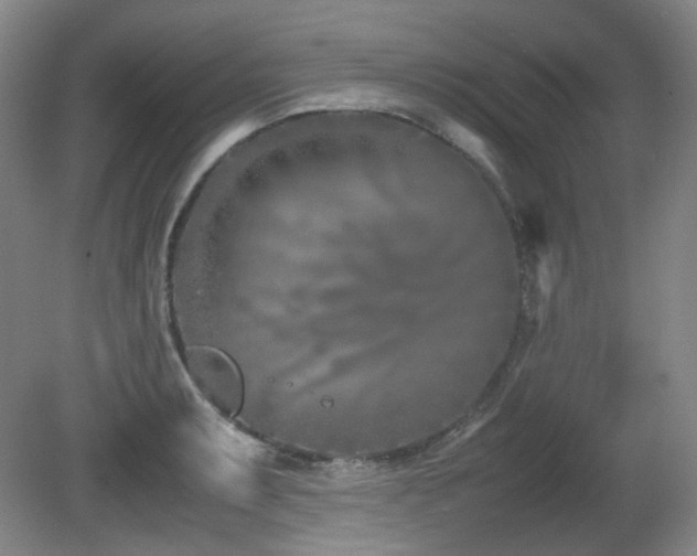 X0000080781087200612151422