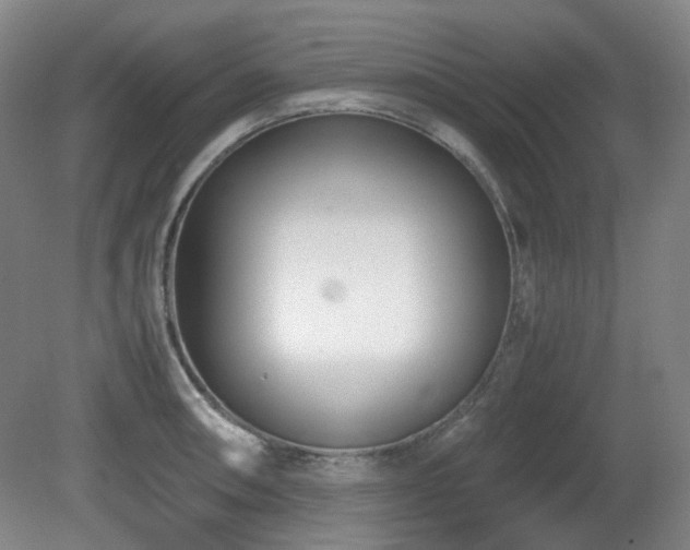 X0000080781090200612151422