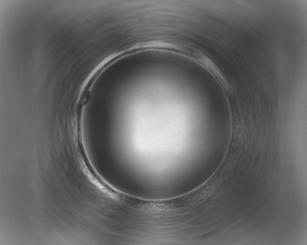 X0000080781092200612151422