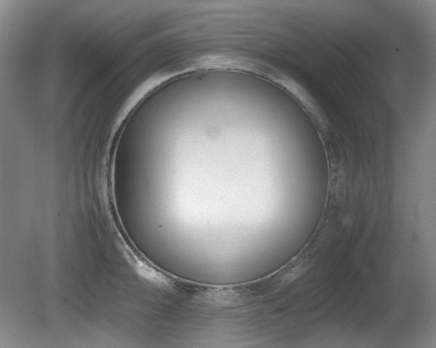 X0000080781094200612151422