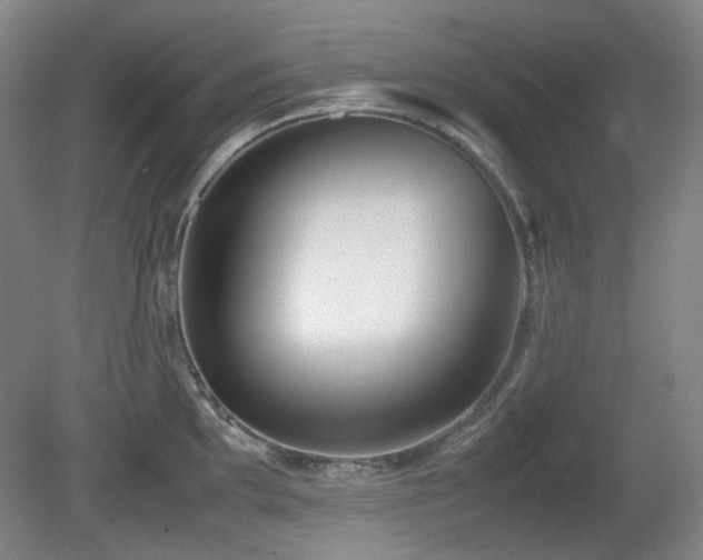 X0000080781097200612151422
