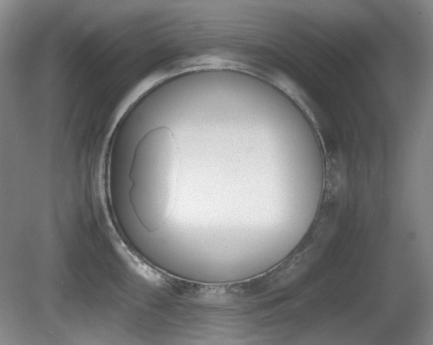 X0000080781098200612151422