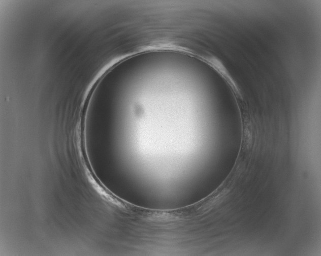 X0000080781100200612151422