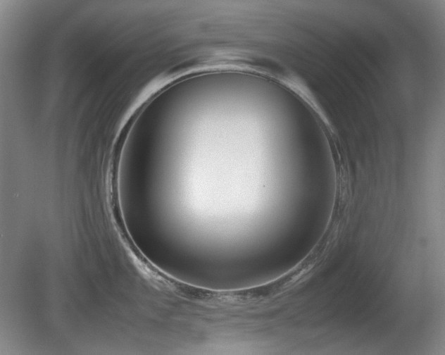 X0000080781101200612151422