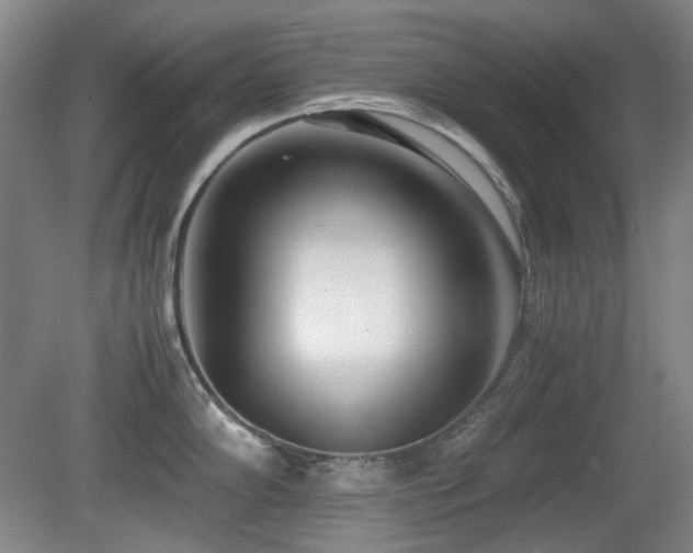 X0000080781102200612151422
