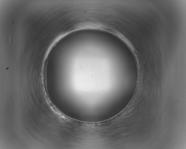X0000080781104200612151422