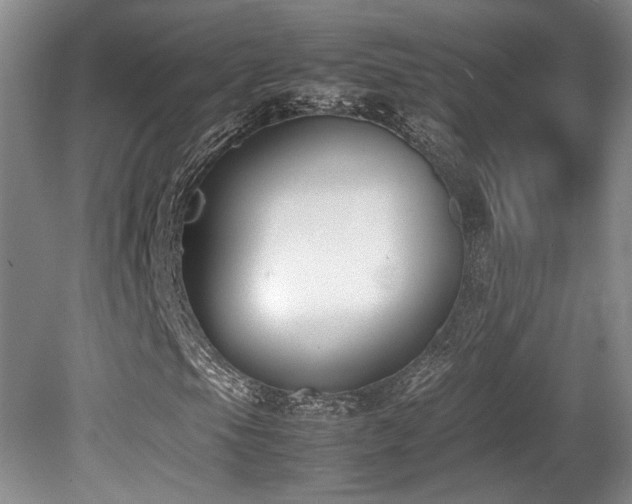 X0000080781105200612151421