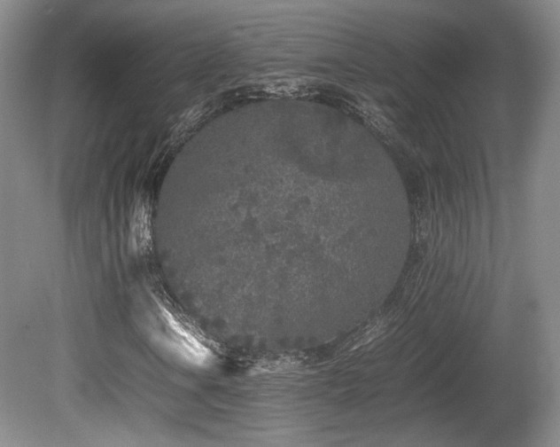 X0000080781106200612151421