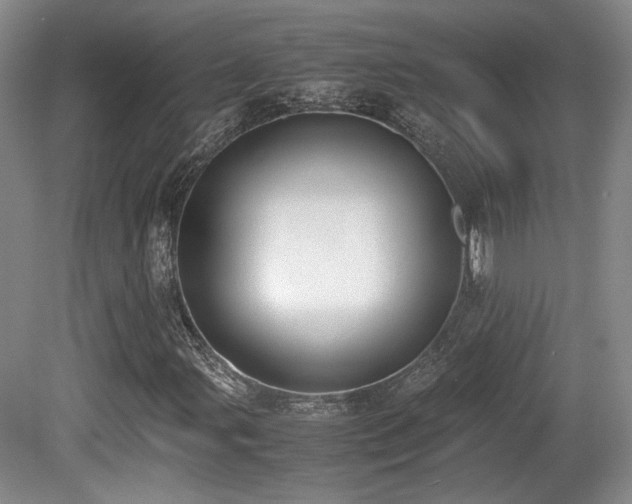 X0000080781107200612151421