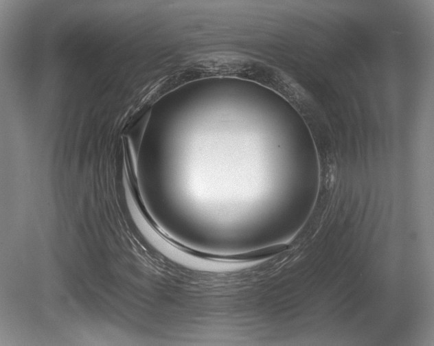 X0000080781108200612151421