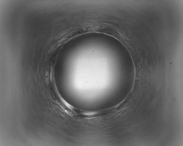 X0000080781109200612151421