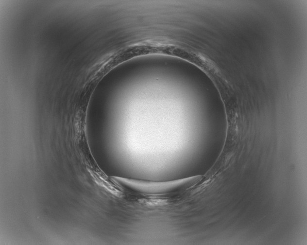 X0000080781110200612151421
