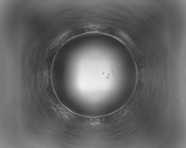 X0000080781111200612151422