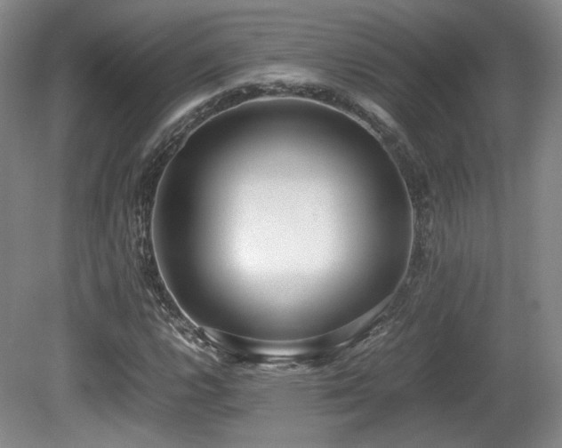 X0000080781112200612151422
