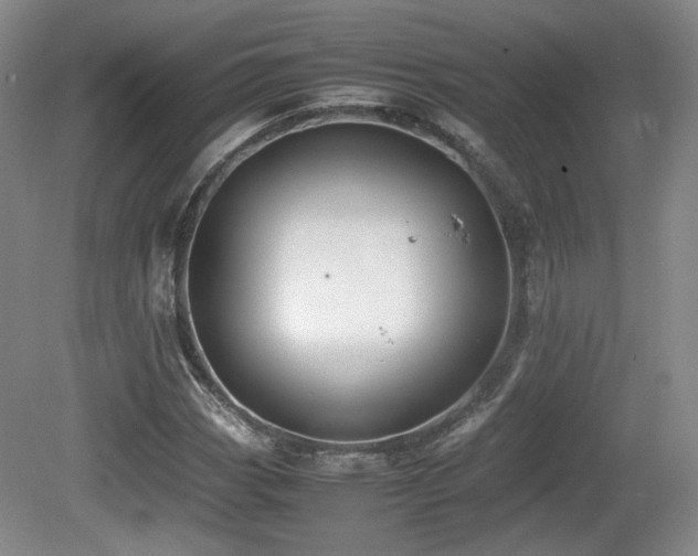 X0000080781113200612151422