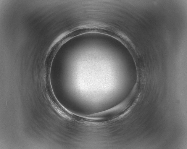X0000080781114200612151422