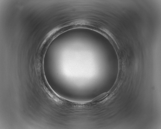 X0000080781115200612151422