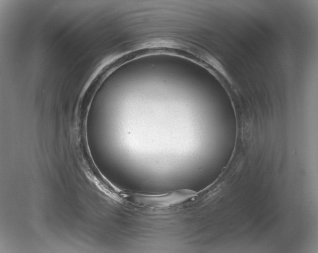X0000080781116200612151422