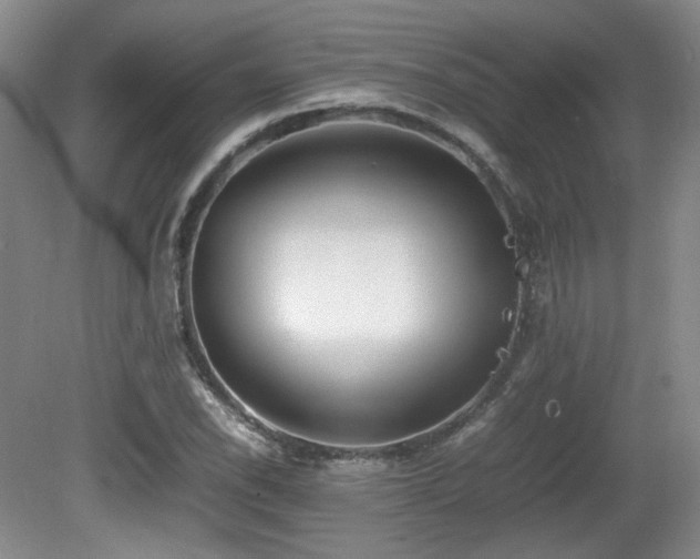 X0000080781118200612151422
