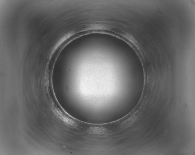 X0000080781119200612151422