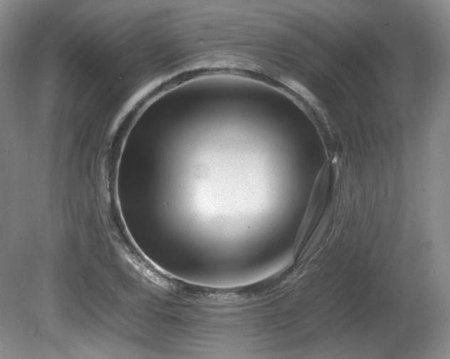 X0000080781120200612151422