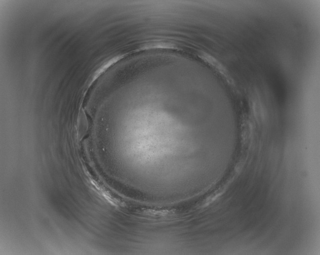 X0000080781121200612151422