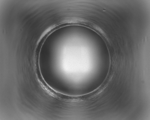X0000080781122200612151422