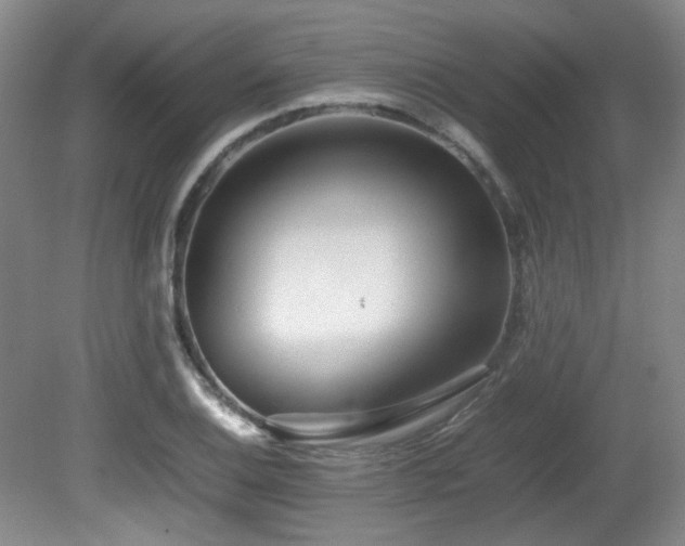 X0000080781124200612151422