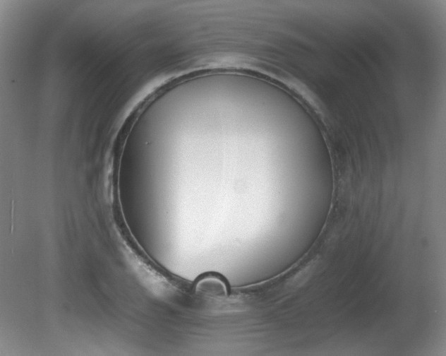 X0000080781126200612151422