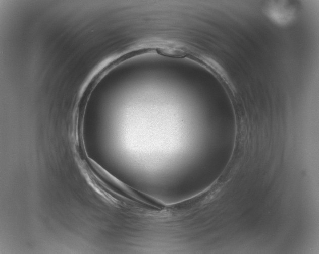 X0000080781128200612151422