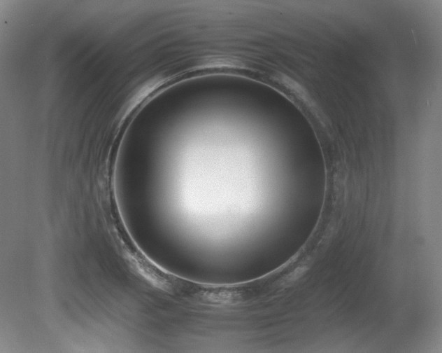 X0000080781129200612151422
