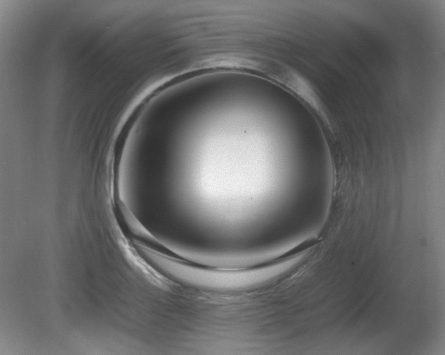 X0000080781132200612151422