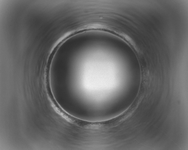 X0000080781134200612151422