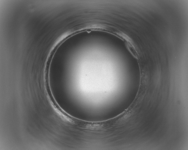 X0000080781135200612151422