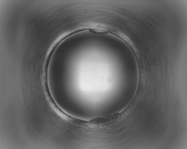 X0000080781136200612151422