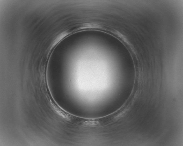 X0000080781137200612151422