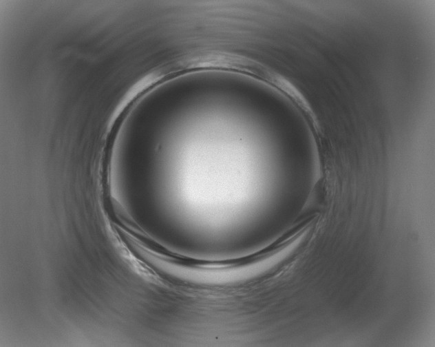 X0000080781138200612151422