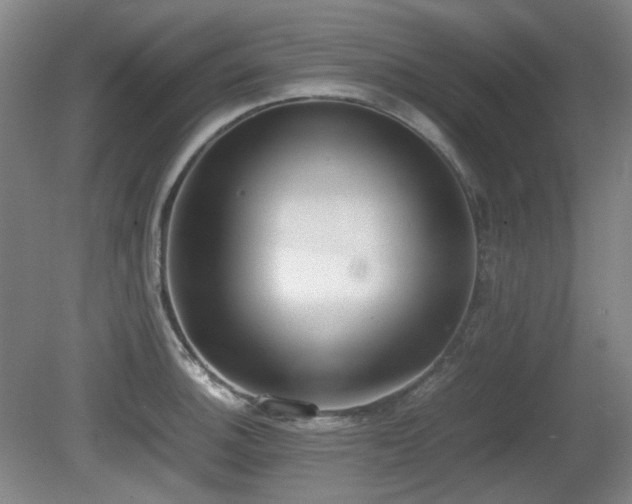 X0000080781140200612151422