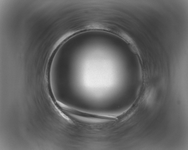 X0000080781141200612151422