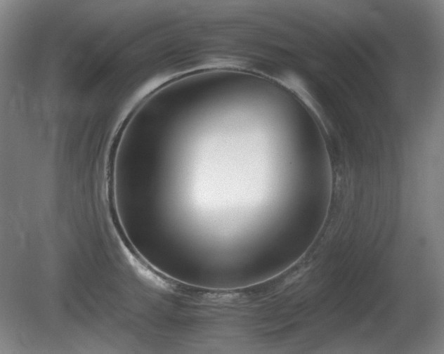 X0000080781143200612151422