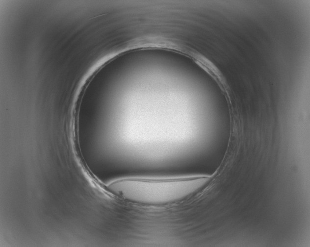 X0000080781144200612151422