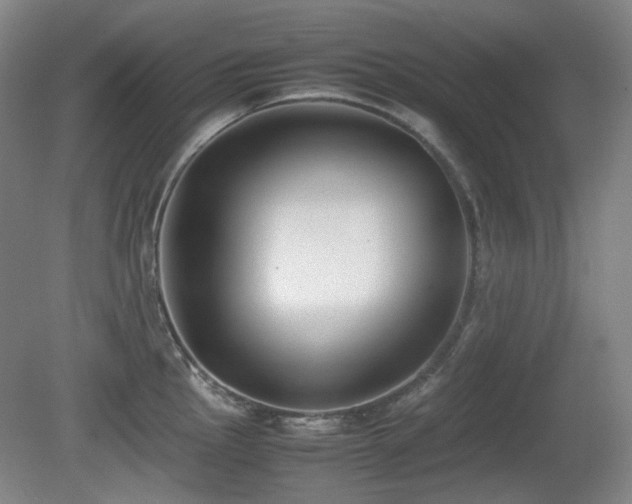 X0000080781145200612151422