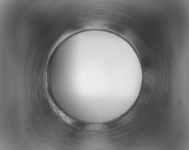 X0000080781150200612151422