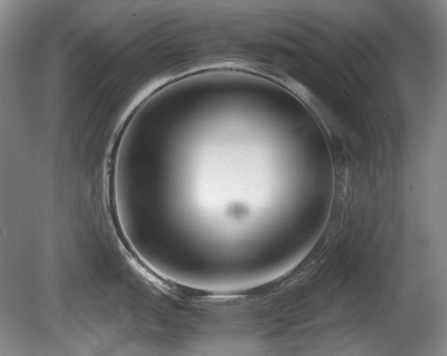 X0000080781151200612151422
