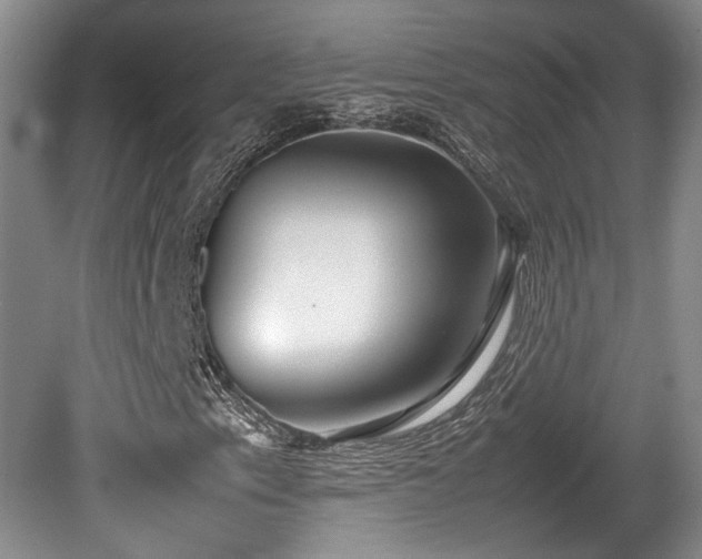 X0000080781153200612151421