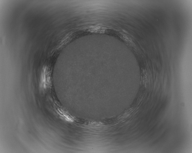 X0000080781154200612151421